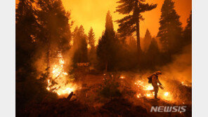 美 아기 성별공개 파티 불꽃놀이…대형 화재로 번져