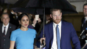 해리 英왕자, 저택 수리에 사용한 세금 37.5억원 반납