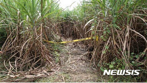 ‘필리핀 한인 살인’ 40대, 탈옥후 국내서 마약거래 정황