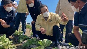 농협, 태풍 피해농업인 지원 조직역량 총력 집중