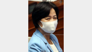 “추미애 장관의 검찰인사는 학살”…보수성향 변호사단체, 국민감사 청구