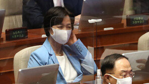 외교부 직원, ‘추미애 딸’ 비자 문의 받아…간단한 안내만