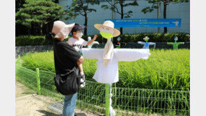 [포토]도심 속 마스크 낀 허수아비 등장