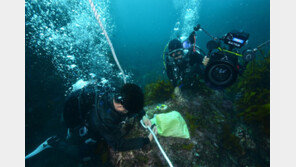 서귀포 문섬 ‘수중로프 철거’ 통보에 다이버 반발
