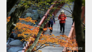 한라산 첫 단풍 내달 17일 시작…평년보다 이틀 늦어