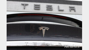 니콜라 뜨고 테슬라 지고…두 전기차 업체 엇갈린 주가