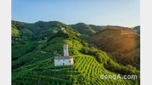 드링크인터내셔널, 스파클링 와인 시장 공략… 150년 전통 伊 ‘카르페니 말볼티’와 계약