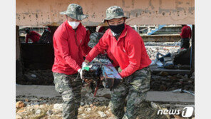 軍 코로나 확진자 3명 추가 완치…남은 환자 15명