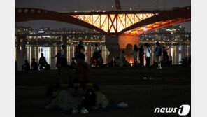 서울시 “13일까지 한강공원 음식배달 자제해달라”