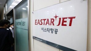 이상직 딸 이수지 대표, 이스타항공 등기이사직 사임