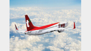 저비용항공사도 화물기 운항 준비 착착…티웨이·진에어 나서