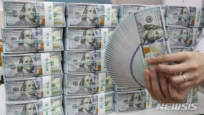 기재부, 1년여 만에 외평채 발행 착수…달러·유로화 확보