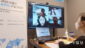 “화상으로 수출 상담”