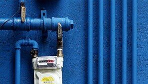 미로 찾기[고양이 눈]