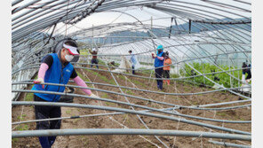 수해복구 봉사 나선 대구시 공무원