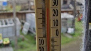 ‘온난화’ 북극이 화났다…지구촌 동시다발 ‘괴이한 여름’