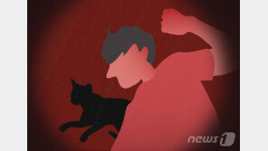 고양이 3층서 던지고 술집서 맥주병 폭행 40대, 항소심도 실형