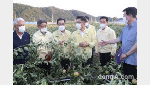 이성희 농협 회장, 태풍 피해지역 연일 방문