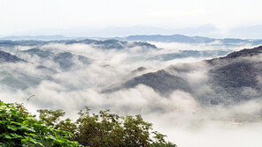 ‘54일’ 기록적 최장 장마, 기후변화가 직접 원인 아니라고?