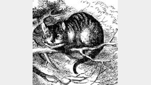 “장인 트럼프, 이상한 나라의 앨리스 속 고양이 같아”