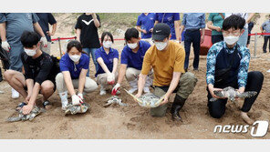 “자유롭게 헤엄치렴” 멸종위기 바다거북 18마리 고향 바다로