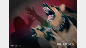 목줄 안 한 개주인에 벌금형… 산책 나선 사람과 다른 개 물어