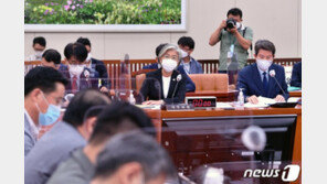 [단독]외교부, 뉴질랜드 성추행 피해자 구제조치 착수