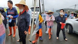 국민의힘, 태풍 복구 봉사활동 ‘구슬땀’…“일회성 아냐”