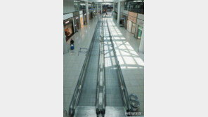 휴무일 확대-해외사업 축소…‘코로나 직격탄’ 면세점도 고육지책 