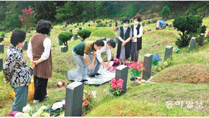 28일부터 2주간 ‘추석특별방역기간’… 미리 성묘