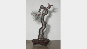 이길래 개인전 ‘Timeless Pine Tree’