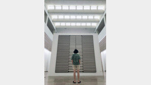 방탄소년단 RM, 국립현대미술관에 1억원 기부…‘미술책 보급’ 후원