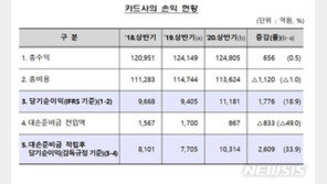 카드사, 상반기 순익 1.1조…대출 늘었다