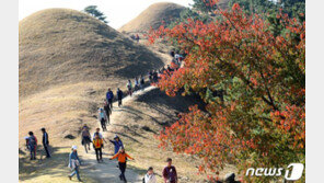 가야고분군, 유네스코 세계유산 등재신청 대상에 선정