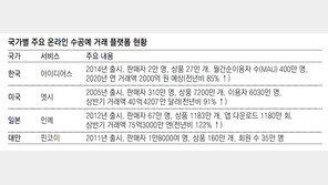 “느려도 나만의 상품을” 온라인 수공예몰, 조용한 인기