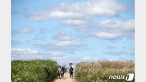 [날씨]15일 아침 선선해도 낮 23~28도…강원·전라·제주 소나기