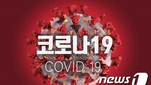 폴란드서 입국한 20대 코로나 확진…대전 345번째