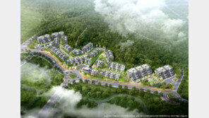  아파트와 단독주택 장점만 쏙 뺀 블록형 단독주택 인기