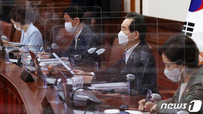 丁총리 “코로나 백신 3000만명분 확보…국내개발 병행”