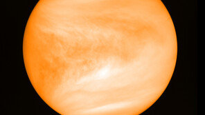 금성에도 생명체가 산다?…대기서 생명체 존재 증명 가스 포착