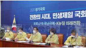 與, ‘전국민 독감 무료백신’ 野 주장 일부 수용 검토