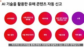 AI 댓글관리부터 자동신고까지…인스타그램, ‘악플퇴치’에 전념