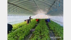 불량 귀농인 어쩌나…지자체 ‘먹튀’ 보조금 환수 골치