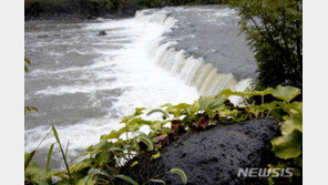 철원 한탄강 급류에 휩쓸린 20대 남성 사망…어머니는 생존