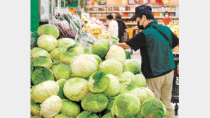 최악 물난리에 치솟은 채소 가격 