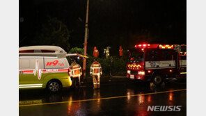 서귀포시 한 야초지서 불에 탄 50대男 시신 발견