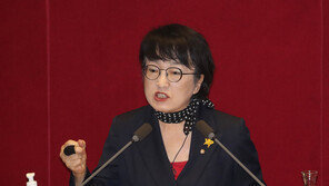 김진애 “김홍걸, 분양권이 재산 아니라니 너무 상식 없는 분”