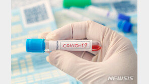 천연 피톤치드 복합물, ‘30초 만에 코로나 바이러스 99.99% 사멸’ 관심