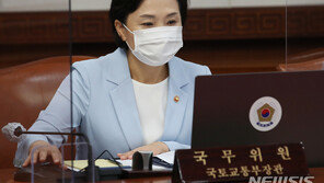 김현미 “과거 정부서 종부세 형해화…유지됐다면 투기 제어됐을 것”