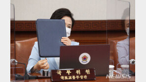 김현미 “청약 특별공급 맞벌이 부부 소득요건 완화 검토”